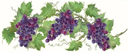 grapes
